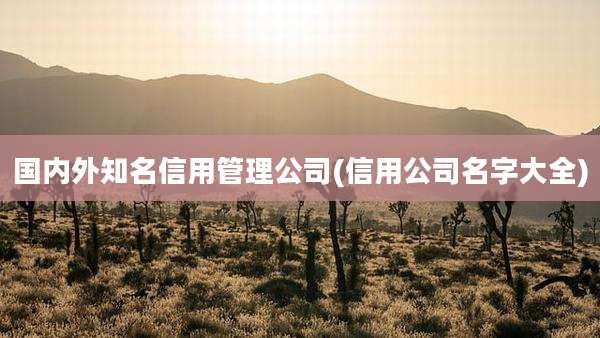 国内外知名信用管理公司(信用公司名字大全)