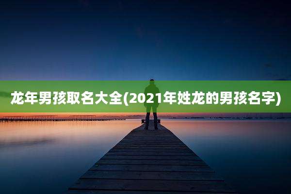 龙年男孩取名大全(2021年姓龙的男孩名字)