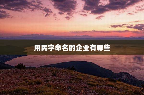 用民字命名的企业有哪些
