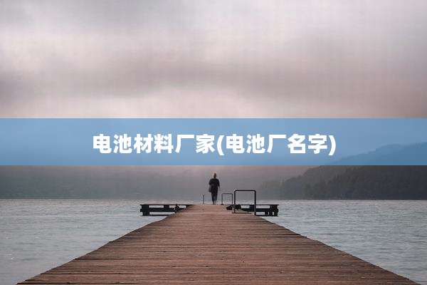 电池材料厂家(电池厂名字)