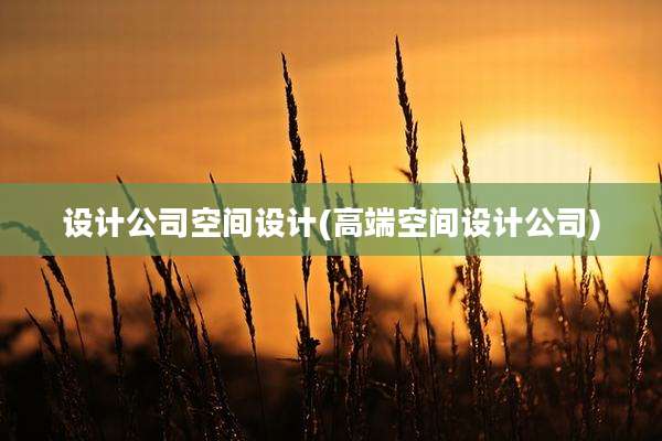 设计公司空间设计(高端空间设计公司)