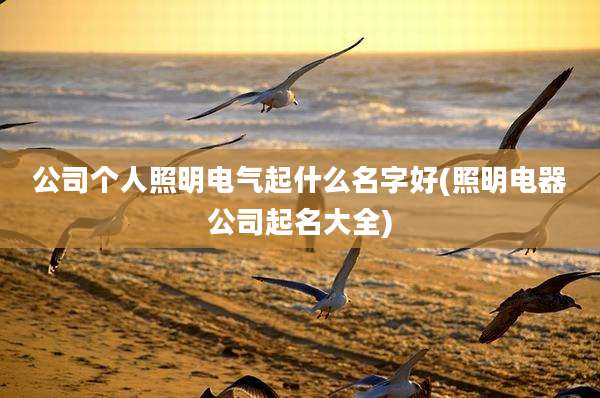 公司个人照明电气起什么名字好(照明电器公司起名大全)