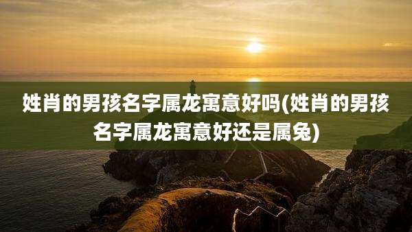 姓肖的男孩名字属龙寓意好吗(姓肖的男孩名字属龙寓意好还是属兔)