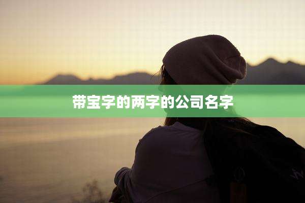 带宝字的两字的公司名字