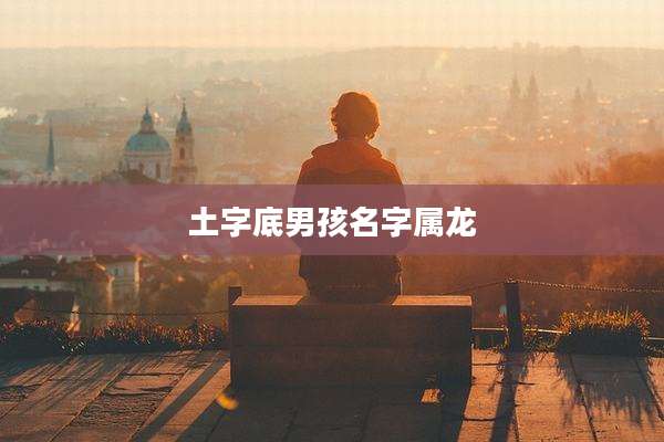 土字底男孩名字属龙