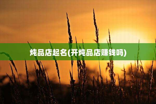炖品店起名(开炖品店赚钱吗)