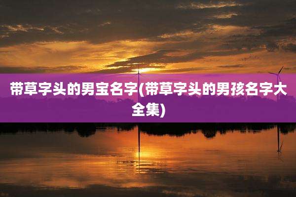 带草字头的男宝名字(带草字头的男孩名字大全集)