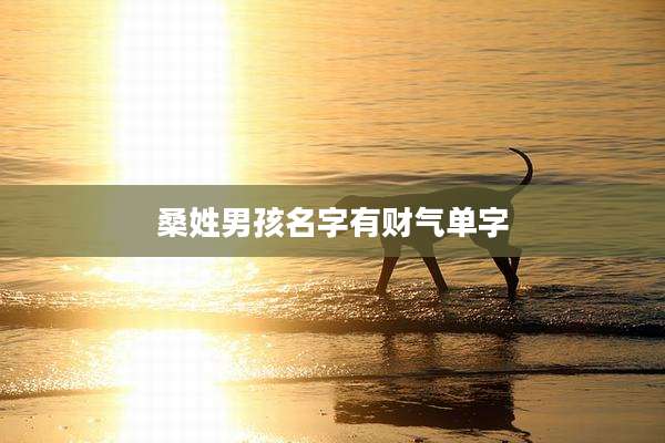 桑姓男孩名字有财气单字
