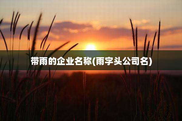 带雨的企业名称(雨字头公司名)