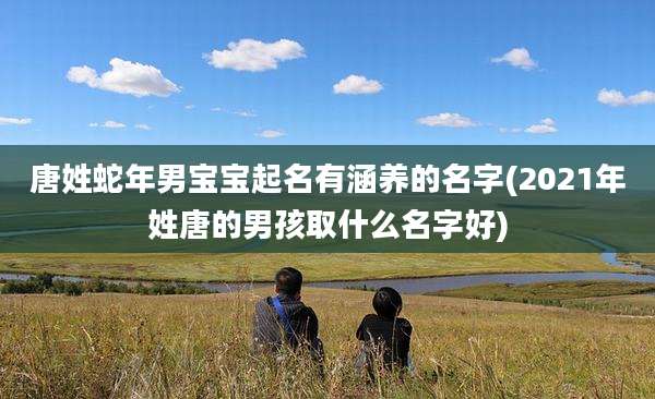 唐姓蛇年男宝宝起名有涵养的名字(2021年姓唐的男孩取什么名字好)