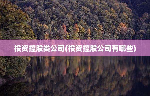 投资控股类公司(投资控股公司有哪些)
