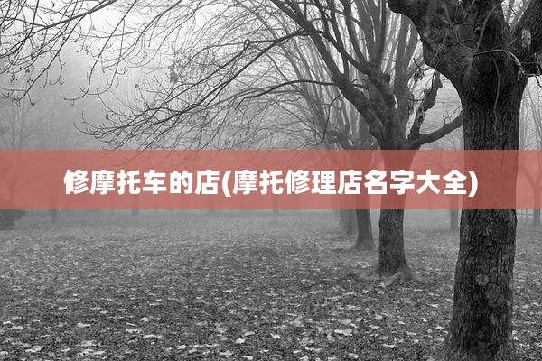 修摩托车的店(摩托修理店名字大全)