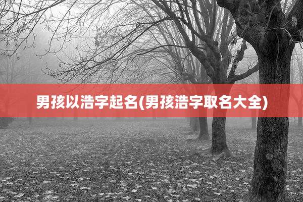 男孩以浩字起名(男孩浩字取名大全)