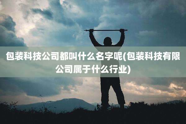 包装科技公司都叫什么名字呢(包装科技有限公司属于什么行业)