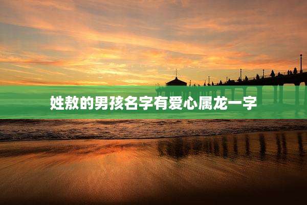 姓敖的男孩名字有爱心属龙一字