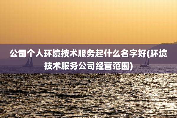 公司个人环境技术服务起什么名字好(环境技术服务公司经营范围)