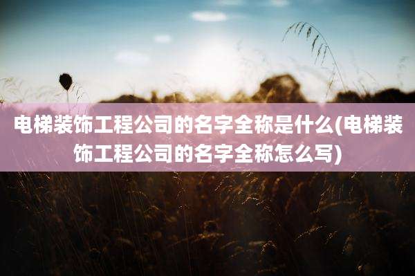 电梯装饰工程公司的名字全称是什么(电梯装饰工程公司的名字全称怎么写)