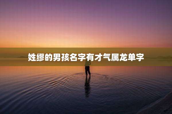 姓缪的男孩名字有才气属龙单字
