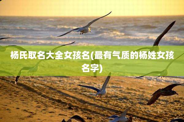 杨氏取名大全女孩名(最有气质的杨姓女孩名字)
