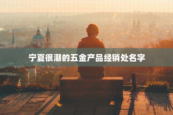 宁夏很潮的五金产品经销处名字