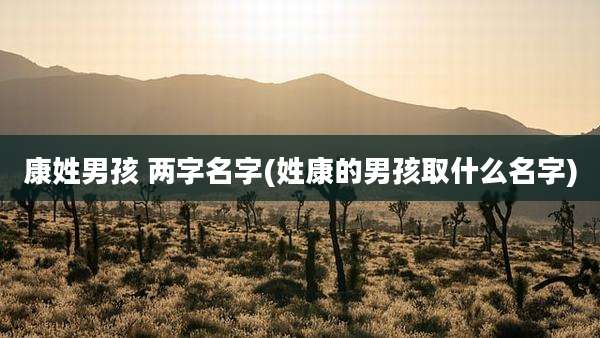 康姓男孩 两字名字(姓康的男孩取什么名字)