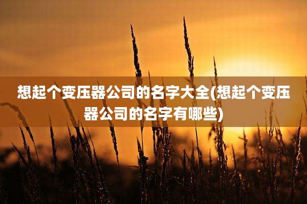 想起个变压器公司的名字大全(想起个变压器公司的名字有哪些)