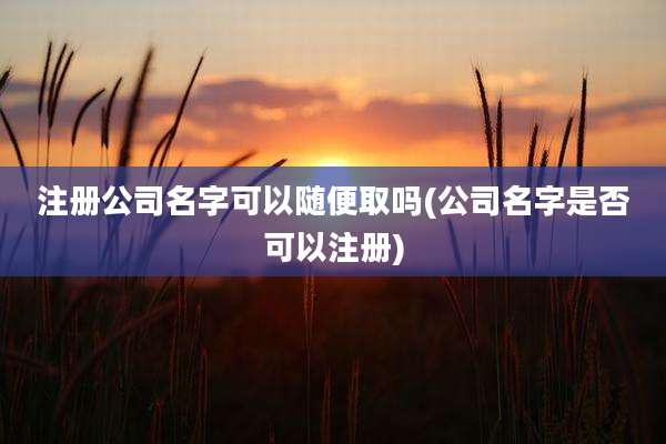 注册公司名字可以随便取吗(公司名字是否可以注册)