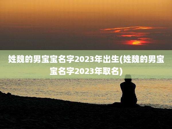 姓魏的男宝宝名字2023年出生(姓魏的男宝宝名字2023年取名)