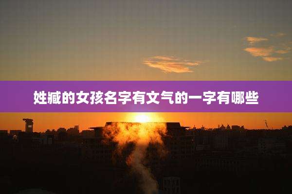 姓臧的女孩名字有文气的一字有哪些