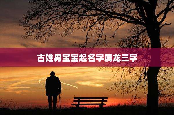 古姓男宝宝起名字属龙三字