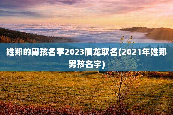 姓郑的男孩名字2023属龙取名(2021年姓郑男孩名字)