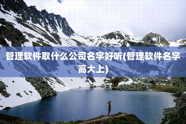 管理软件取什么公司名字好听(管理软件名字高大上)