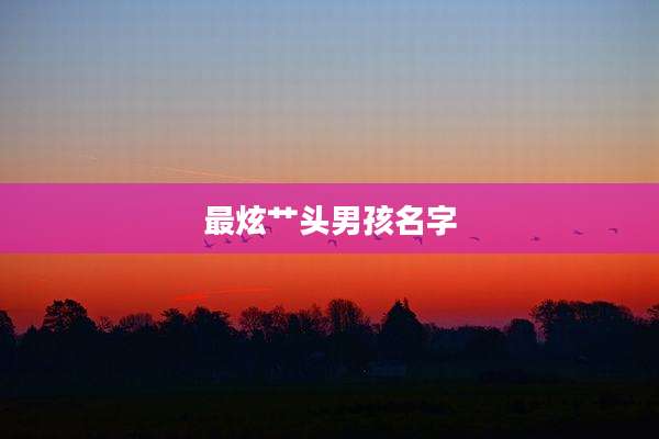 最炫艹头男孩名字