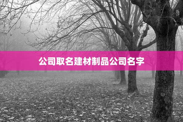 公司取名建材制品公司名字