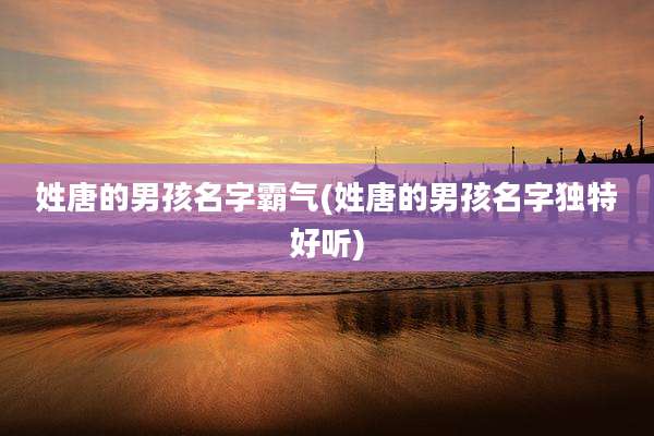 姓唐的男孩名字霸气(姓唐的男孩名字独特好听)
