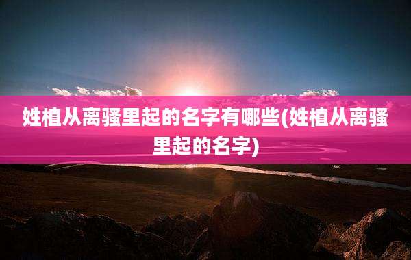 姓植从离骚里起的名字有哪些(姓植从离骚里起的名字)