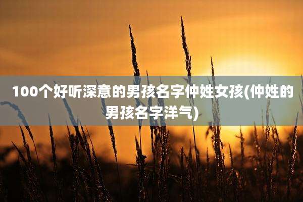 100个好听深意的男孩名字仲姓女孩(仲姓的男孩名字洋气)