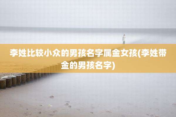 李姓比较小众的男孩名字属金女孩(李姓带金的男孩名字)