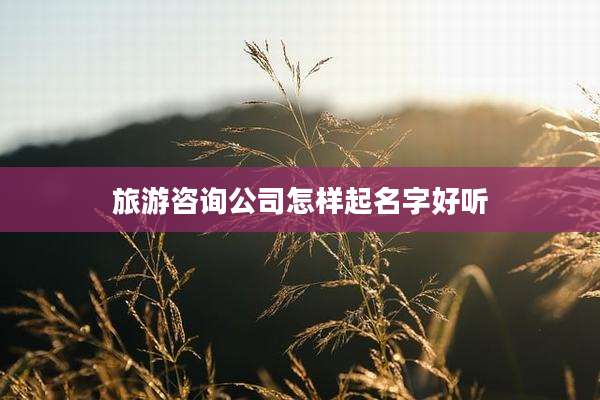 旅游咨询公司怎样起名字好听