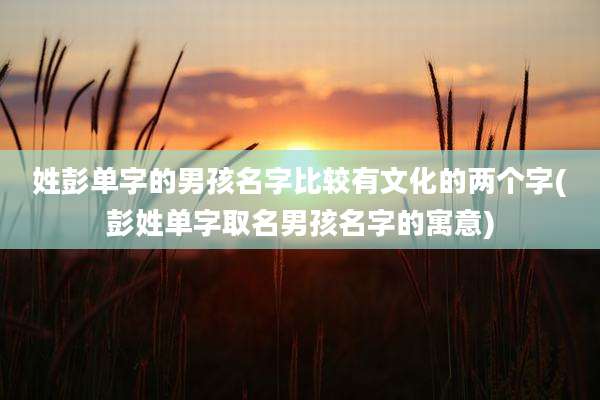 姓彭单字的男孩名字比较有文化的两个字(彭姓单字取名男孩名字的寓意)
