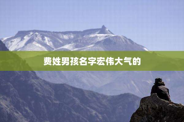 费姓男孩名字宏伟大气的
