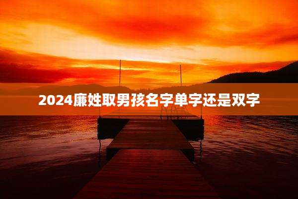 2024廉姓取男孩名字单字还是双字