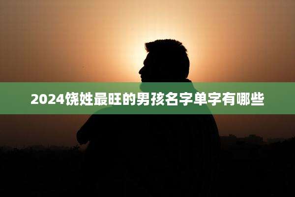 2024饶姓最旺的男孩名字单字有哪些