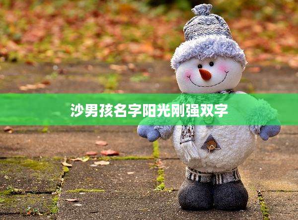 沙男孩名字阳光刚强双字