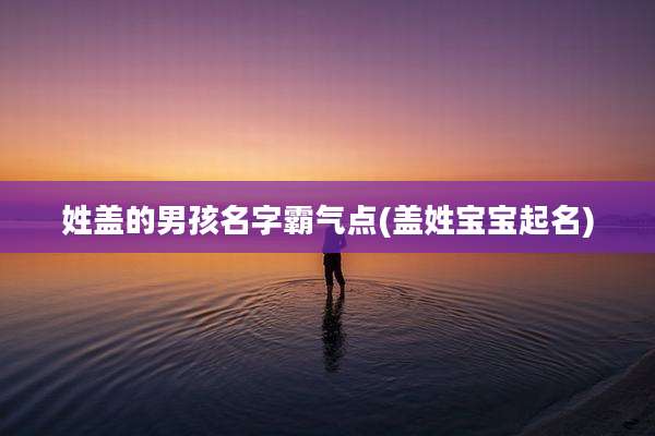 姓盖的男孩名字霸气点(盖姓宝宝起名)