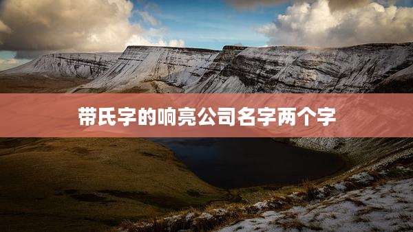 带氏字的响亮公司名字两个字