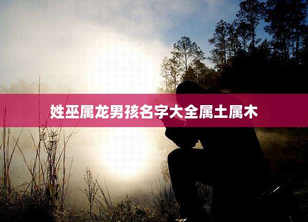 姓巫属龙男孩名字大全属土属木