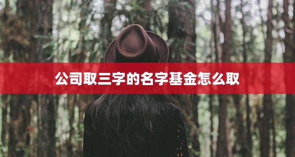 公司取三字的名字基金怎么取