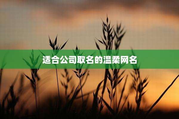 适合公司取名的温柔网名
