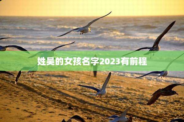 姓吴的女孩名字2023有前程